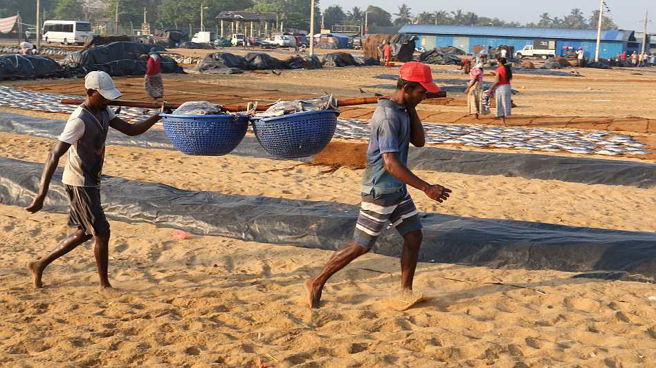 J19_9017 fish porters.JPG